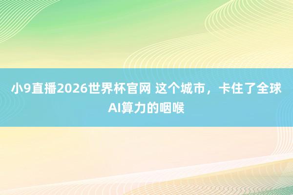 小9直播2026世界杯官网 这个城市，卡住了全球AI算力的咽喉