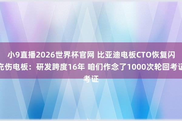 小9直播2026世界杯官网 比亚迪电板CTO恢复闪充伤电板：研发跨度16年 咱们作念了1000次轮回考证