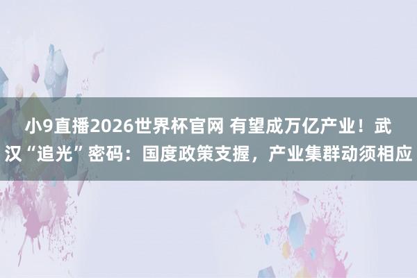 小9直播2026世界杯官网 有望成万亿产业！武汉“追光”密码：国度政策支握，产业集群动须相应