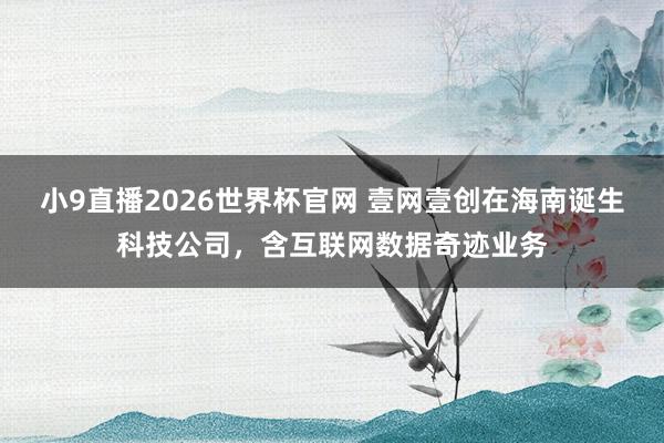 小9直播2026世界杯官网 壹网壹创在海南诞生科技公司，含互联网数据奇迹业务