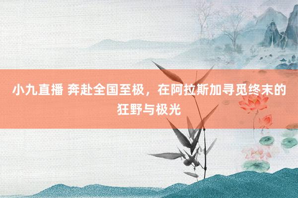 小九直播 奔赴全国至极，在阿拉斯加寻觅终末的狂野与极光