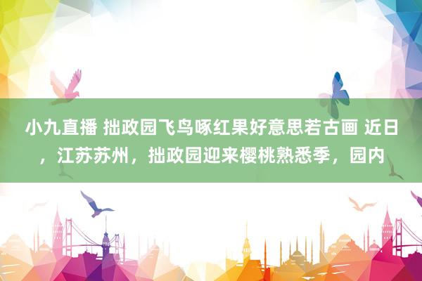 小九直播 拙政园飞鸟啄红果好意思若古画 近日，江苏苏州，拙政园迎来樱桃熟悉季，园内