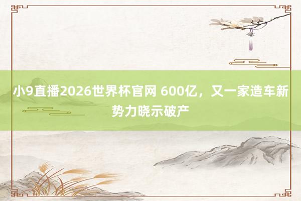 小9直播2026世界杯官网 600亿，又一家造车新势力晓示破产