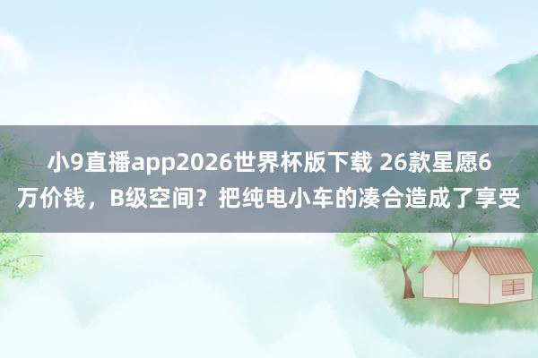 小9直播app2026世界杯版下载 26款星愿6万价钱，B级空间？把纯电小车的凑合造成了享受