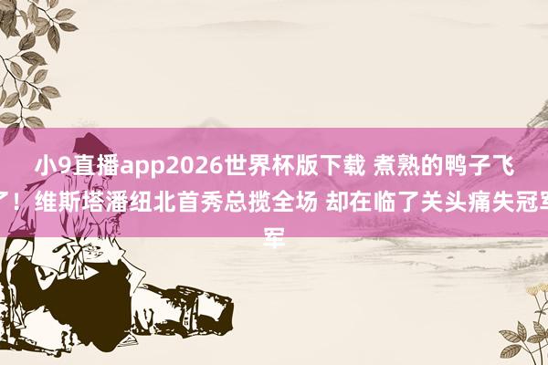 小9直播app2026世界杯版下载 煮熟的鸭子飞了！维斯塔潘纽北首秀总揽全场 却在临了关头痛失冠军