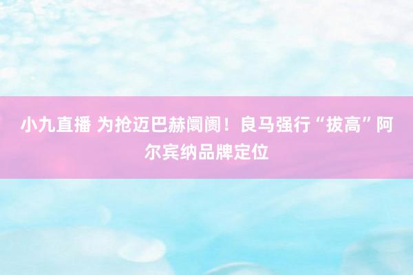 小九直播 为抢迈巴赫阛阓！良马强行“拔高”阿尔宾纳品牌定位