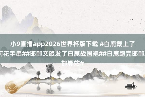 小9直播app2026世界杯版下载 #白鹿戴上了茉莉花手串##邯郸文旅发了白鹿战国袍##白鹿跑完邯郸站#