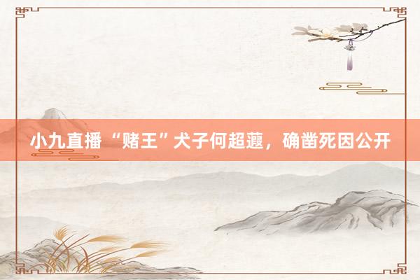 小九直播 “赌王”犬子何超蕸，确凿死因公开