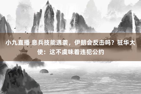 小九直播 息兵技能遇袭，伊朗会反击吗？驻华大使：这不虞味着违犯公约