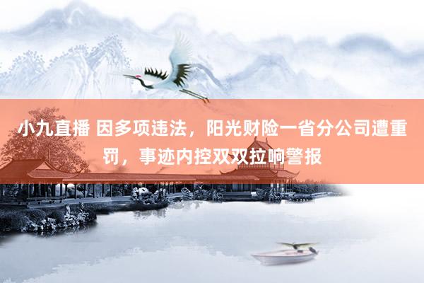 小九直播 因多项违法，阳光财险一省分公司遭重罚，事迹内控双双拉响警报