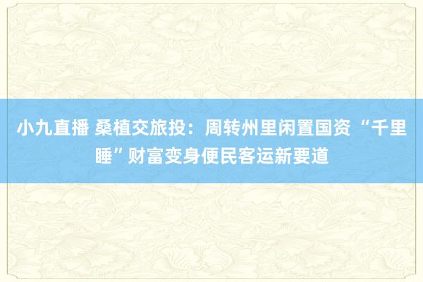 小九直播 桑植交旅投：周转州里闲置国资 “千里睡”财富变身便民客运新要道