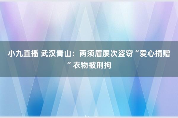 小九直播 武汉青山：两须眉屡次盗窃“爱心捐赠”衣物被刑拘