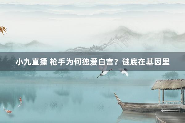 小九直播 枪手为何独爱白宫？谜底在基因里