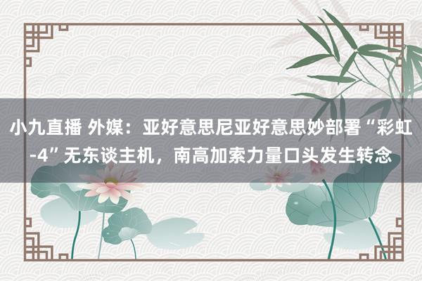 小九直播 外媒：亚好意思尼亚好意思妙部署“彩虹-4”无东谈主机，南高加索力量口头发生转念