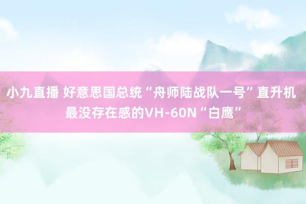 小九直播 好意思国总统“舟师陆战队一号”直升机 最没存在感的VH-60N“白鹰”