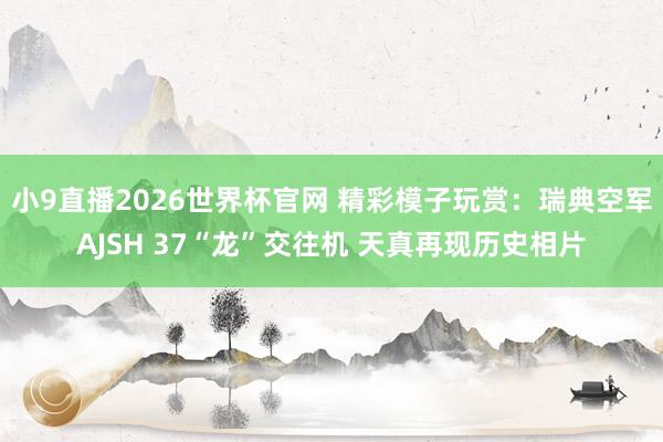 小9直播2026世界杯官网 精彩模子玩赏：瑞典空军AJSH 37“龙”交往机 天真再现历史相片