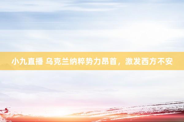 小九直播 乌克兰纳粹势力昂首，激发西方不安