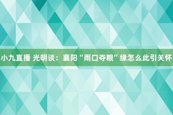 小九直播 光明谈：襄阳“雨口夺粮”缘怎么此引关怀