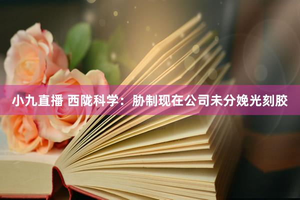 小九直播 西陇科学：胁制现在公司未分娩光刻胶