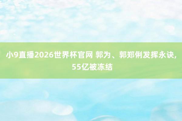 小9直播2026世界杯官网 郭为、郭郑俐发挥永诀， 55亿被冻结
