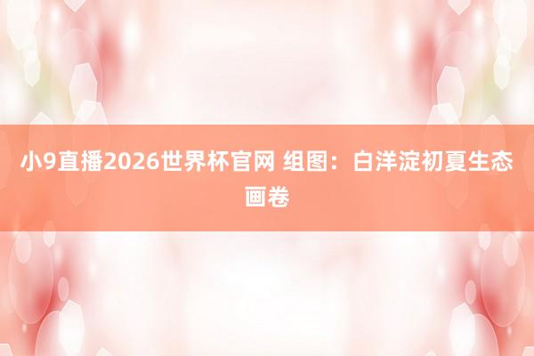 小9直播2026世界杯官网 组图：白洋淀初夏生态画卷