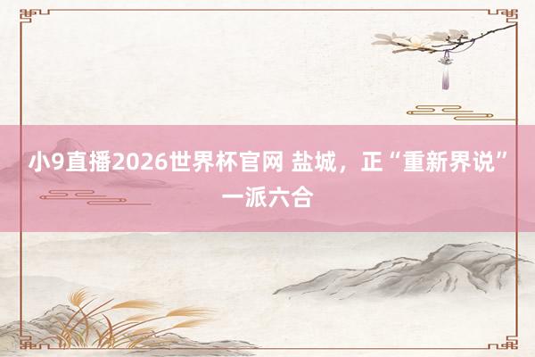 小9直播2026世界杯官网 盐城，正“重新界说”一派六合