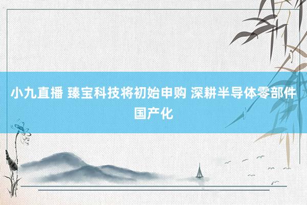 小九直播 臻宝科技将初始申购 深耕半导体零部件国产化