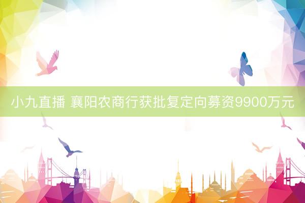 小九直播 襄阳农商行获批复定向募资9900万元