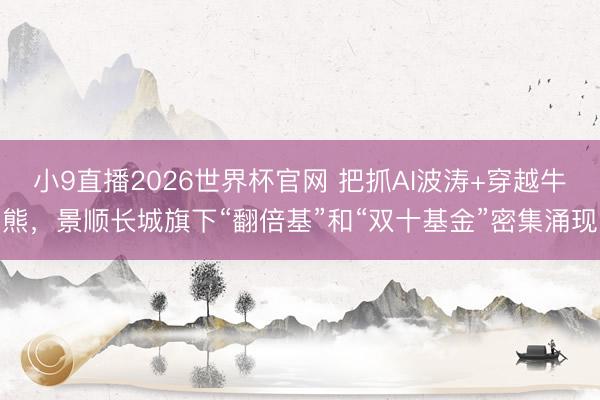 小9直播2026世界杯官网 把抓AI波涛+穿越牛熊,景顺长城旗下“翻倍基”和“双十基金”密集涌现