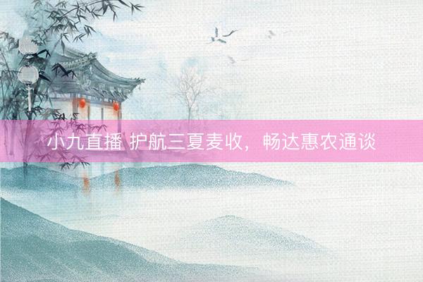 小九直播 护航三夏麦收，畅达惠农通谈