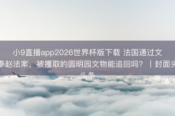 小9直播app2026世界杯版下载 法国通过文物奉赵法案，被攫取的圆明园文物能追回吗？丨封面头条