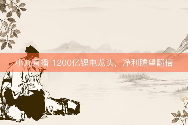 小九直播 1200亿锂电龙头，净利瞻望翻倍