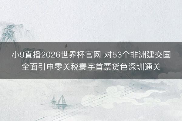 小9直播2026世界杯官网 对53个非洲建交国全面引申零关税寰宇首票货色深圳通关